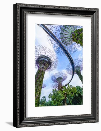 Supertree Grove in the Gardens by the Bay, a Futuristic Botanical Gardens and Park, Marina Bay-Fraser Hall-Framed Photographic Print