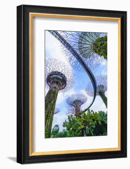 Supertree Grove in the Gardens by the Bay, a Futuristic Botanical Gardens and Park, Marina Bay-Fraser Hall-Framed Photographic Print