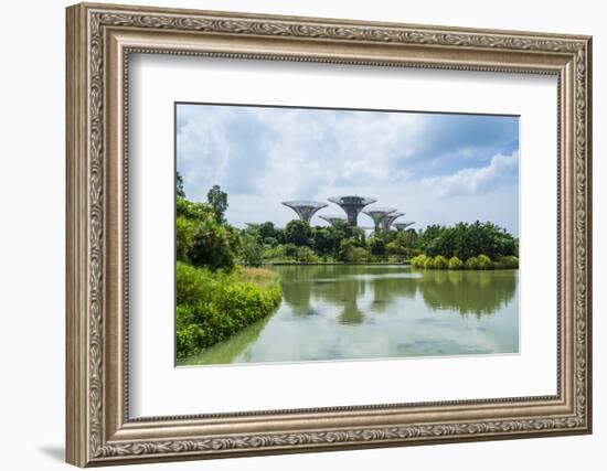 Supertree Grove in the Gardens by the Bay, a Futuristic Botanical Gardens and Park, Marina Bay-Fraser Hall-Framed Photographic Print