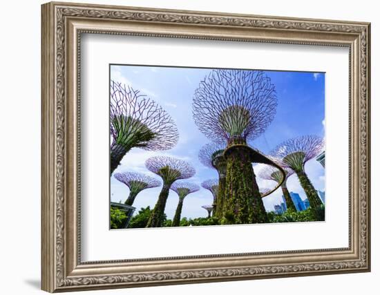 Supertree Grove in the Gardens by the Bay, a Futuristic Botanical Gardens and Park, Marina Bay-Fraser Hall-Framed Photographic Print