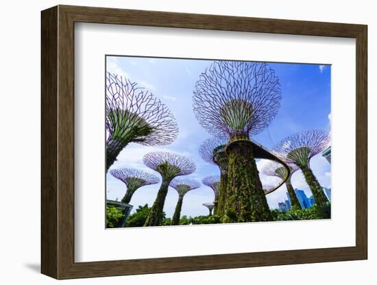 Supertree Grove in the Gardens by the Bay, a Futuristic Botanical Gardens and Park, Marina Bay-Fraser Hall-Framed Photographic Print