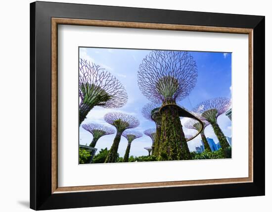 Supertree Grove in the Gardens by the Bay, a Futuristic Botanical Gardens and Park, Marina Bay-Fraser Hall-Framed Photographic Print