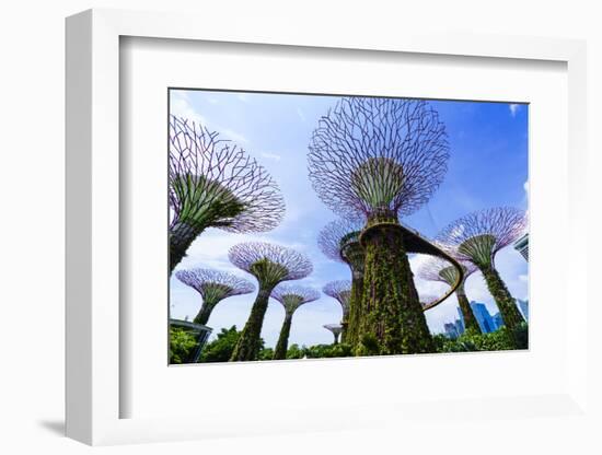 Supertree Grove in the Gardens by the Bay, a Futuristic Botanical Gardens and Park, Marina Bay-Fraser Hall-Framed Photographic Print