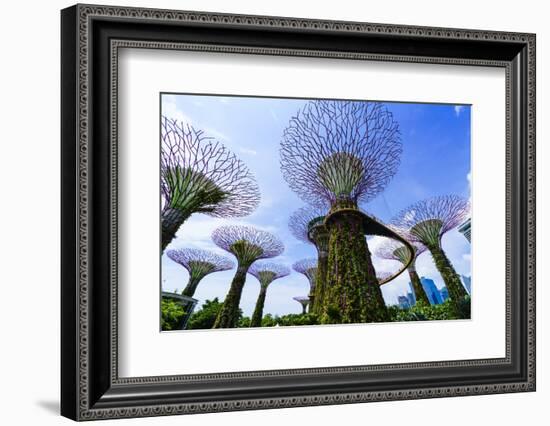 Supertree Grove in the Gardens by the Bay, a Futuristic Botanical Gardens and Park, Marina Bay-Fraser Hall-Framed Photographic Print