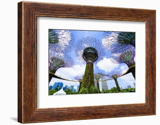 Supertree Grove in the Gardens by the Bay, a Futuristic Botanical Gardens and Park, Marina Bay-Fraser Hall-Framed Photographic Print