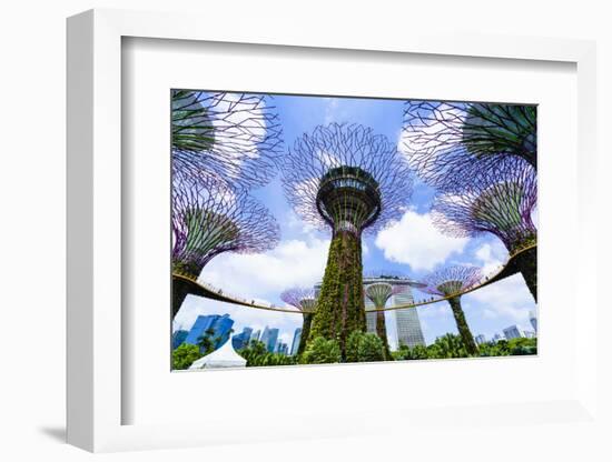 Supertree Grove in the Gardens by the Bay, a Futuristic Botanical Gardens and Park, Marina Bay-Fraser Hall-Framed Photographic Print