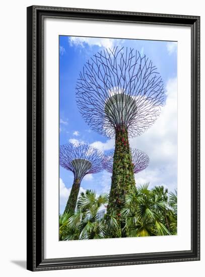 Supertree Grove in the Gardens by the Bay, a Futuristic Botanical Gardens and Park, Marina Bay-Fraser Hall-Framed Photographic Print