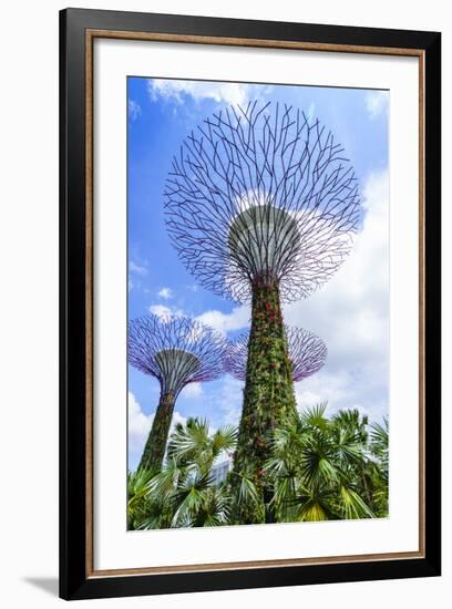 Supertree Grove in the Gardens by the Bay, a Futuristic Botanical Gardens and Park, Marina Bay-Fraser Hall-Framed Photographic Print