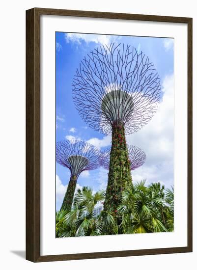 Supertree Grove in the Gardens by the Bay, a Futuristic Botanical Gardens and Park, Marina Bay-Fraser Hall-Framed Photographic Print