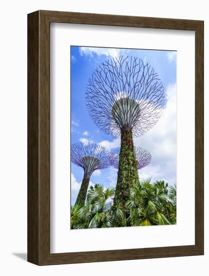 Supertree Grove in the Gardens by the Bay, a Futuristic Botanical Gardens and Park, Marina Bay-Fraser Hall-Framed Photographic Print