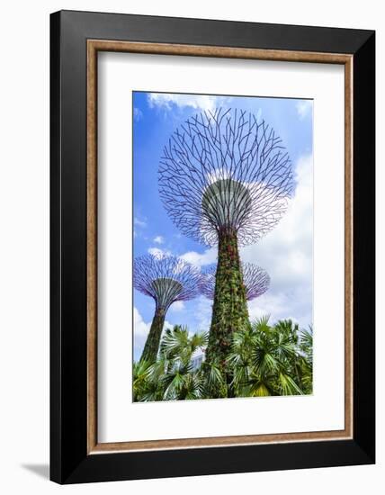 Supertree Grove in the Gardens by the Bay, a Futuristic Botanical Gardens and Park, Marina Bay-Fraser Hall-Framed Photographic Print