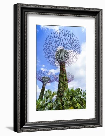 Supertree Grove in the Gardens by the Bay, a Futuristic Botanical Gardens and Park, Marina Bay-Fraser Hall-Framed Photographic Print