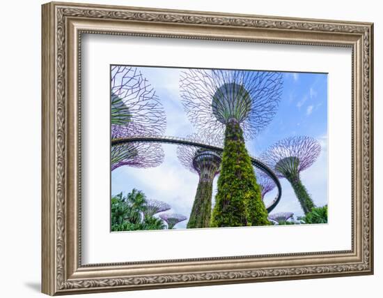 Supertree Grove in the Gardens by the Bay, a Futuristic Botanical Gardens and Park, Marina Bay-Fraser Hall-Framed Photographic Print