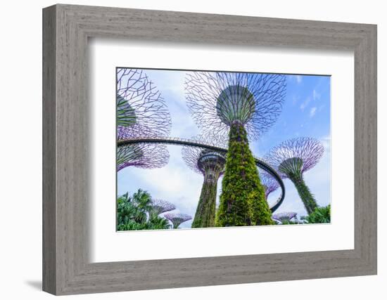 Supertree Grove in the Gardens by the Bay, a Futuristic Botanical Gardens and Park, Marina Bay-Fraser Hall-Framed Photographic Print