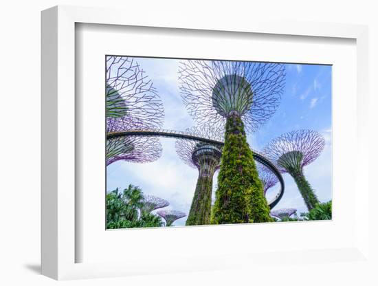 Supertree Grove in the Gardens by the Bay, a Futuristic Botanical Gardens and Park, Marina Bay-Fraser Hall-Framed Photographic Print