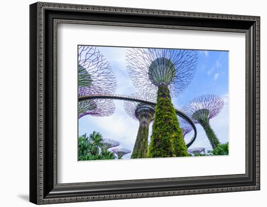 Supertree Grove in the Gardens by the Bay, a Futuristic Botanical Gardens and Park, Marina Bay-Fraser Hall-Framed Photographic Print