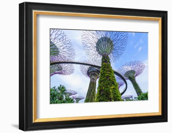 Supertree Grove in the Gardens by the Bay, a Futuristic Botanical Gardens and Park, Marina Bay-Fraser Hall-Framed Photographic Print