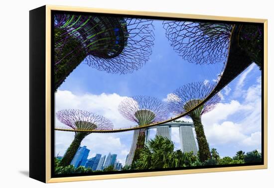 Supertree Grove in the Gardens by the Bay, a Futuristic Botanical Gardens and Park, Marina Bay-Fraser Hall-Framed Premier Image Canvas