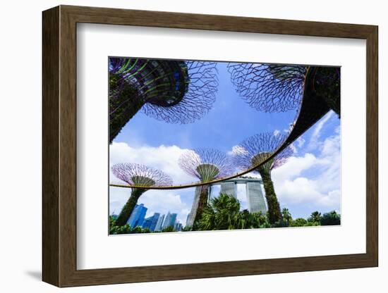 Supertree Grove in the Gardens by the Bay, a Futuristic Botanical Gardens and Park, Marina Bay-Fraser Hall-Framed Photographic Print