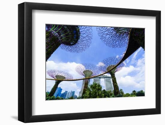 Supertree Grove in the Gardens by the Bay, a Futuristic Botanical Gardens and Park, Marina Bay-Fraser Hall-Framed Photographic Print