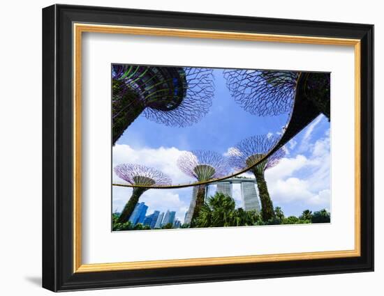 Supertree Grove in the Gardens by the Bay, a Futuristic Botanical Gardens and Park, Marina Bay-Fraser Hall-Framed Photographic Print