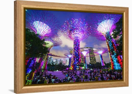 Supertree Grove in the Gardens by the Bay, a Futuristic Botanical Gardens and Park-Fraser Hall-Framed Premier Image Canvas