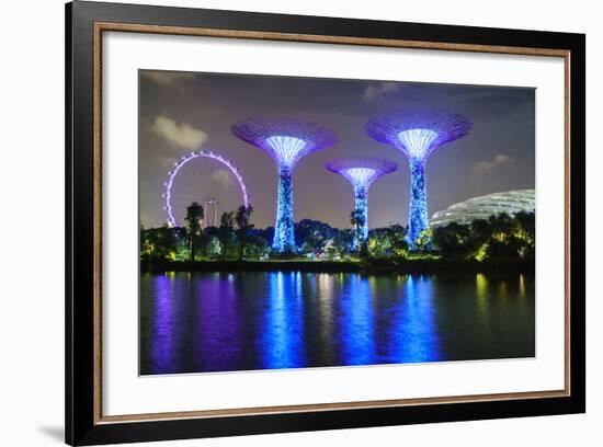 Supertree Grove in the Gardens by the Bay, a Futuristic Botanical Gardens and Park-Fraser Hall-Framed Photographic Print