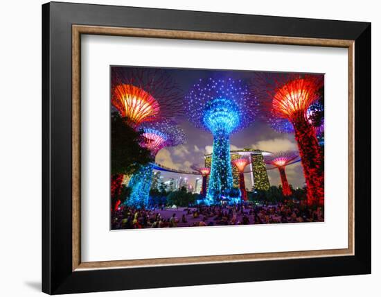 Supertree Grove in the Gardens by the Bay, a Futuristic Botanical Gardens and Park-Fraser Hall-Framed Photographic Print