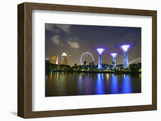 Supertree Grove in the Gardens by the Bay, a Futuristic Botanical Gardens and Park-Fraser Hall-Framed Photographic Print