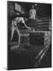 Photographic Print