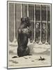 Supported by Voluntary Contributions-John Charles Dollman-Mounted Giclee Print