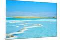 Premium Photographic Print