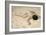 Sur le sable de la dune-Pierre Carrier-belleuse-Framed Giclee Print