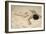 Sur le sable de la dune-Pierre Carrier-belleuse-Framed Giclee Print