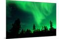 Premium Photographic Print