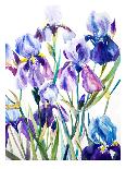 Irises-Suren Nersisyan-Art Print