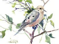 Chickadees On Pine Tree-Suren Nersisyan-Art Print