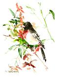 Hummingbird Flying-Suren Nersisyan-Giclee Print