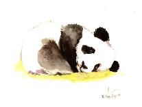 Sleeping Baby Panda-Suren Nersisyan-Art Print