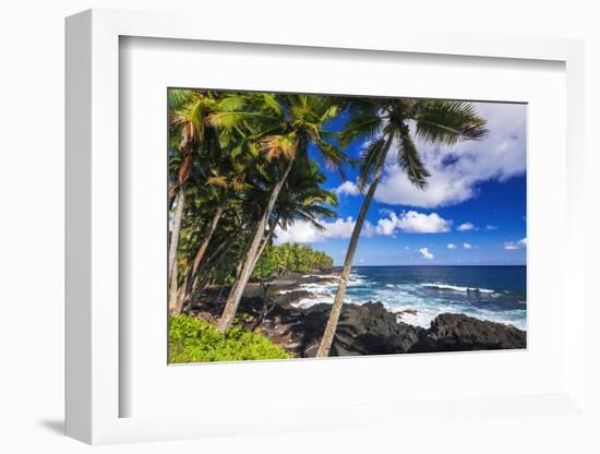 Surf and palms along the Puna Coast, The Big Island, Hawaii, USA-Russ Bishop-Framed Photographic Print