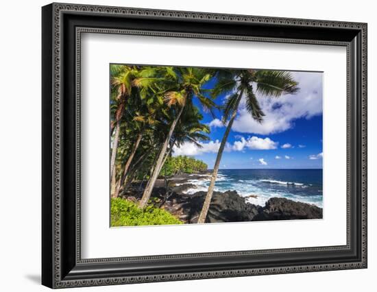 Surf and palms along the Puna Coast, The Big Island, Hawaii, USA-Russ Bishop-Framed Photographic Print