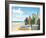 Surf Boards-Scott Westmoreland-Framed Art Print