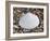 Surf Clam Shell on Beach, Belgium-Philippe Clement-Framed Photographic Print