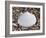 Surf Clam Shell on Beach, Belgium-Philippe Clement-Framed Photographic Print