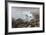 Surf in the Salt Point State Park, Sonoma Coast, California, Usa-Rainer Mirau-Framed Photographic Print