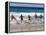 Surf Lifesavers Sprint for Water During a Rescue Board Race at Cronulla Beach, Sydney, Australia-Andrew Watson-Framed Premier Image Canvas