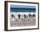 Surf Lifesavers Sprint for Water During a Rescue Board Race at Cronulla Beach, Sydney, Australia-Andrew Watson-Framed Photographic Print