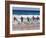 Surf Lifesavers Sprint for Water During a Rescue Board Race at Cronulla Beach, Sydney, Australia-Andrew Watson-Framed Photographic Print