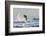 Surf on a Sea Stack Between Santa Teresa and Hermosa Beaches, Santa Teresa, Costa Rica-Rob Francis-Framed Photographic Print