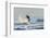 Surf on a Sea Stack Between Santa Teresa and Hermosa Beaches, Santa Teresa, Costa Rica-Rob Francis-Framed Photographic Print